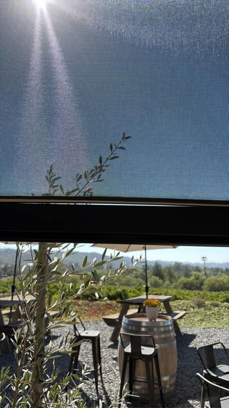 View through a deployed motorized screen at a winery, sun flare through the mesh over barrels and vineyard